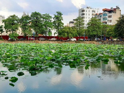 Cho thuê mặt hồ Phương Liệt - Q.Thanh Xuân 0