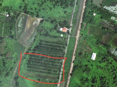 Đất vườn sinh thái Xã Phú Hòa Đông, Củ Chi, Diện tích 5000m , Giá 8.5 Tỷ 4