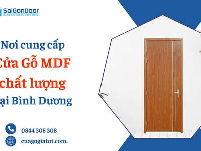 Cửa gỗ công nghiệp MDF chất lượng tại Bình Dương 3