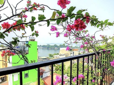 Bán đất-mặt phố nguyễn khắc hiếu gần hồ trúc bạch 82m2/ mt 4.2m chỉ 35.8 tỷ 2
