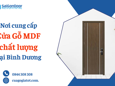 Cửa gỗ công nghiệp MDF chất lượng tại Bình Dương 4