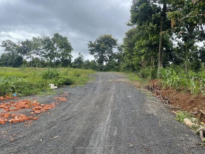 Tôi chính chủ cần bán gấp đất ở xã đắk hòa huyện đắk song tỉnh đắk nông 1