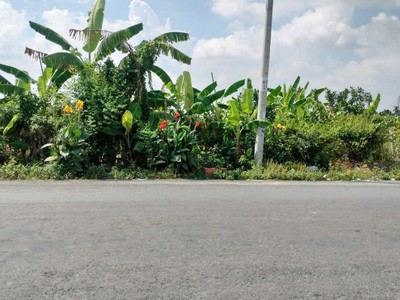 Đất chính chủ - vị trí đẹp tại ấp mỹ hưng 2, xã mỹ hòa, khu công nghiệp bình minh, vĩnh long 0