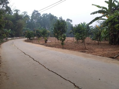 Chính chủ cần bán nhanh 2 lô đất tại đường phù đổng -  tổ 3b khu hương trầm phường dữu lâu , việt 1