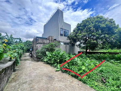 Chính chủ e cần bán lô 44m đất phượng đồng, phụng châu, chương mỹ ,hà nội , đường 2.5m  . 1