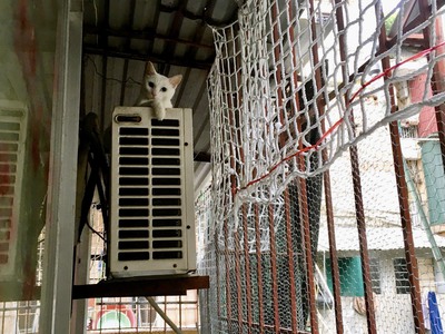 Chính chủ bán căn hộ tập thể tầng 3 ao sen, hà đông, hà nội 3
