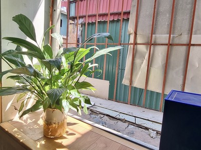 Chính chủ bán căn hộ tập thể tầng 3 ao sen, hà đông, hà nội 1