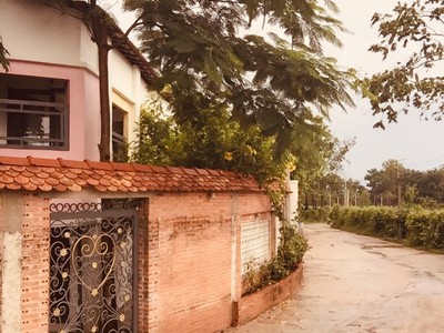 Chính chủ cần cho thuê nhà nguyên căn 3