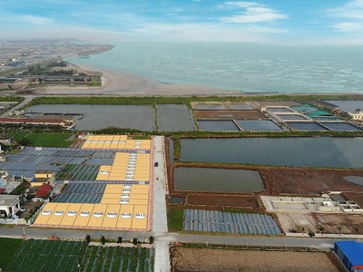Bán đất ven biển Quất Lâm giá rẻ 6