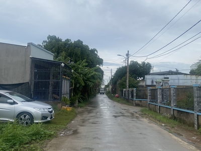 Chính chủ bán đất thổ cư, sổ hồng riêng, đường Đoàn Nguyên Tuấn, Tân Quý Tây, Bình Chánh 0