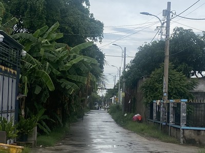 Chính chủ bán đất thổ cư, sổ hồng riêng, đường Đoàn Nguyên Tuấn, Tân Quý Tây, Bình Chánh 4