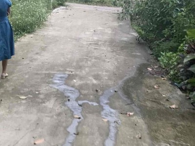 Bán đất   nhà vườn   ao cá 12000m2 xã chiêu yên, yên sơn, tuyên quang. 1