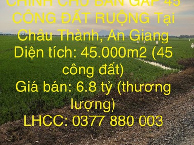Đất đẹp  - giá tốt - chính chủ bán gấp 45 công đất ruộng tại châu thành, an giang 0