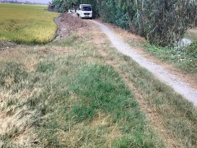 Đất đẹp  - giá tốt - chính chủ bán gấp 45 công đất ruộng tại châu thành, an giang 2