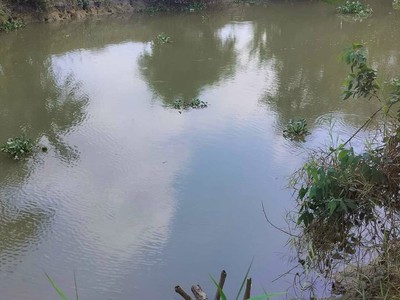Đất đẹp  - giá tốt - chính chủ bán gấp 45 công đất ruộng tại châu thành, an giang 3