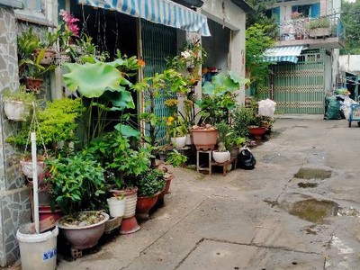 Bán nhà c4 hẻm xe hơi lê đức thọ,p17,gò vấp 46m2 chỉ 4ty2 0