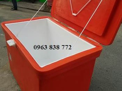 Thùng đá thái lan 800 lít - thùng giữ lạnh 450L - thùng đá lớn 300L 1