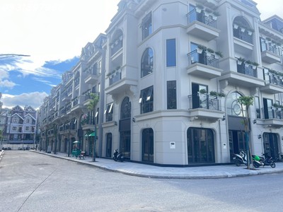 Khám phá cơ hội đầu tư đích thực tại royal river city 80 hạ lý,hồng bàng,hp 4