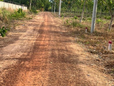 Bán nhanh mảnh đất gia đình 300 m2 ở bình dương chỉ 290 triệu 2