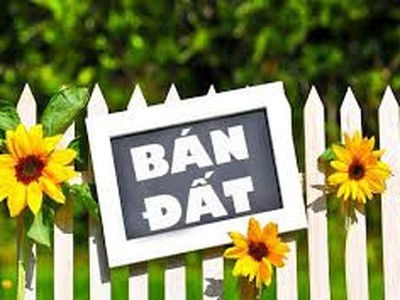 Chính chủ cần bán nhanh lô đất tại khu 5 hương nộn - tam nông - phú thọ. 0