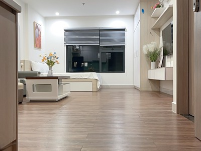 Chính chủ cho thuê căn studio Vinhome Ocean park Gia Lâm 0