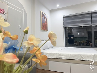 Chính chủ cho thuê căn studio Vinhome Ocean park Gia Lâm 6