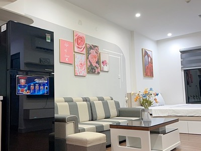Chính chủ cho thuê căn studio Vinhome Ocean park Gia Lâm 8