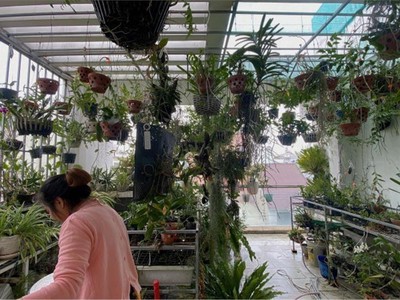 Cần bán nhà gấp mặt tiền kd bình giã, tt tân bình giảm 400tr giá mới 16,8 tỷ 0