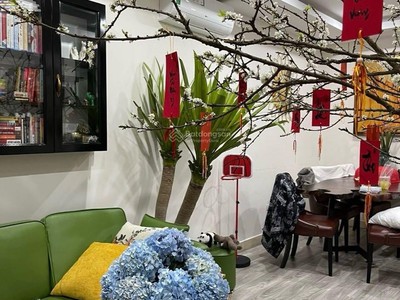Chính chủ bán căn hộ chung cư tại ecohome phúc lợi, quận long biên tặng full nội thất. 0