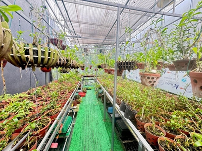 Chỉ 2,1 tỷ có nhà 2 tầng sẵn ở, việt hùng - đông anh 4