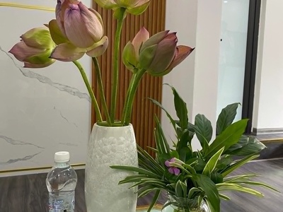 ..bán nhà tâhp thể t4 phố hồng mai, phường quỳnh lôi, quận hai bà trưng, hà nội 3
