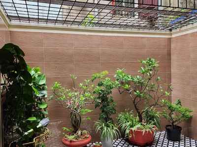 Cho thuê nhà tuyến 2 Văn Cao, 4 ngủ khép kín, DT: 90m2. 5