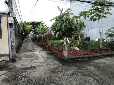 Bán đất thổ cư hẻm xe hơi 159m2 5 31.5m chỉ hơn 30tr.m2 tl 43 bình chiểu thủ đức giá đầu tư 3