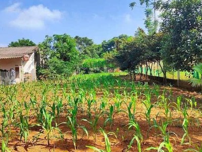 Cần tiền bán gấp 1168m2 đất ở  cln có 18m mặt đường giáp đồng lúa,.. 1