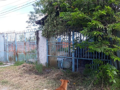 Chính chủ bán đất sẵn nhà và phòng trọ cho thuê tại đức hòa-long an 4