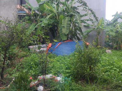 Chính chủ cần tiền nên bán lô đất tại xã phúc hòa, phúc thọ, hà nội. 3