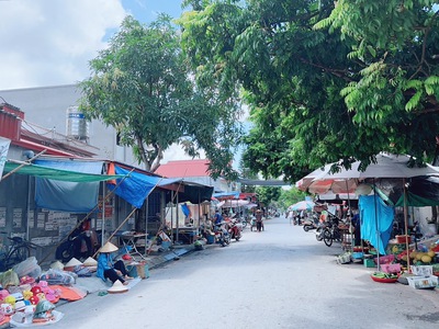 Bán 12 lô đất tại thôn Vũ Vị, Minh Tân, Kiến Thụy, ngõ oto 7 chỗ 0