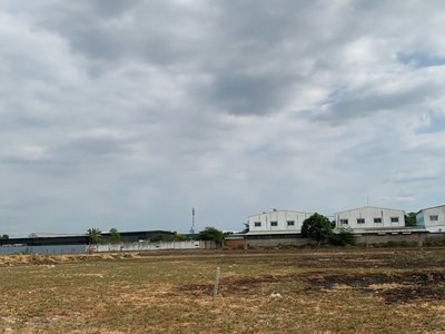 Bán 9309m2 đất mặt tiền nguyễn thị đành, xã xuân thới sơn, huyện hóc môn 2