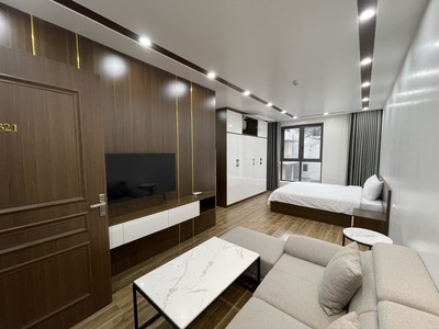 Cho thuê căn hộ cao cấp 1 p.ngủ  35m2  tại Waterfront City, 3