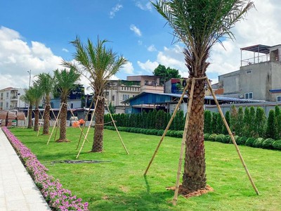 Biệt thự siêu phẩm nằm ngay phố cổ, chỉ với 8-10 ty là đã sở hữu căn biệt thự xây 5 tầng 3