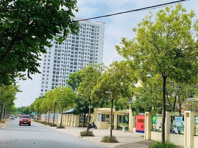 Chính chủ bán đất ĐẤU GIÁ TỨ HIỆP , 88m , mt 6m 0