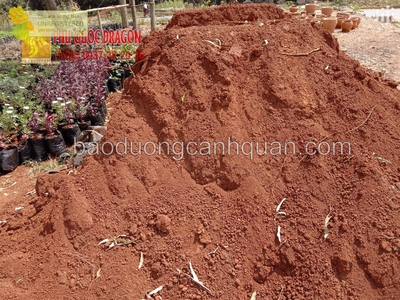 Cung cấp đất màu trồng cây tại Đồng Nai 2