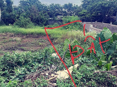 Đấu giá mặt đường liên xã thương vượng  chỉ hơn 2 tỷ  - diện tích: 70,1m  - mặt đường liên xã, đối 1