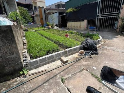 Bán lô góc hoa hậu tại vĩnh lộc - thư phú - thường tín - giá siêu rẻ chỉ nhỉnh 1 tỷ 1