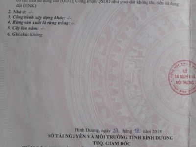 Đất lớn thuộc đường nhánh vĩnh phú 38, thuận an giá rẻ 0