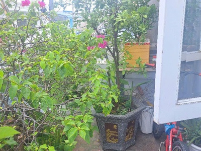 Hẻm 5m - gần hiệp thành city - 66m2, 2 tầng, 3 pn - chính chủ trang bìa - nhỉnh 4 tỷ. 4