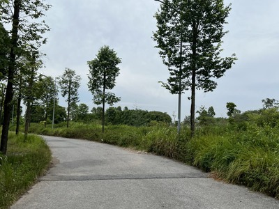 Chính chủ bán Liền Kề B1.4 góc vườn hoa Kđt Thanh Hà Cienco 5, giá tốt nhất 6