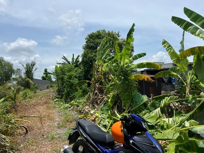 Chính chủ cần bán lô đất lúa ở xã hòa khánh tây   huyện đức hòa   long an. 4