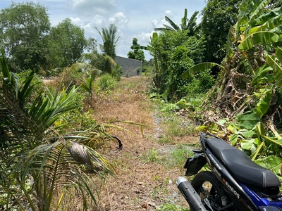 Chính chủ cần bán lô đất lúa ở xã hòa khánh tây   huyện đức hòa   long an. 3