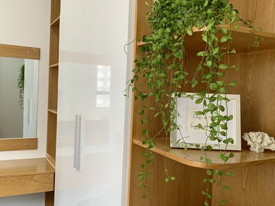 Chính Chủ Cho Thuê căn hộ FULL Nội Thất Him Lam Phú An  69m2, 2PN,2WC  Giá 10 Triệu/Tháng, Lầu 04, H 7